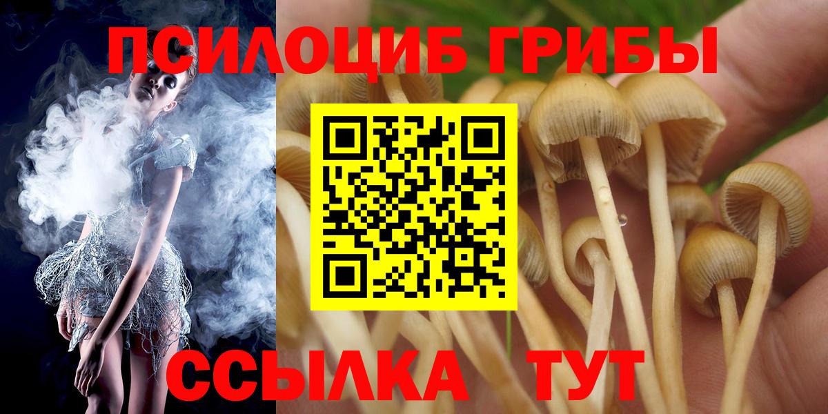 Шадринск  Псилоцибиновые грибы MAGIC MUSHROOMS  Вход с VPN  Псилоцибиновые грибы прущие грибы 